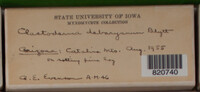 Image Associated With the Occurence